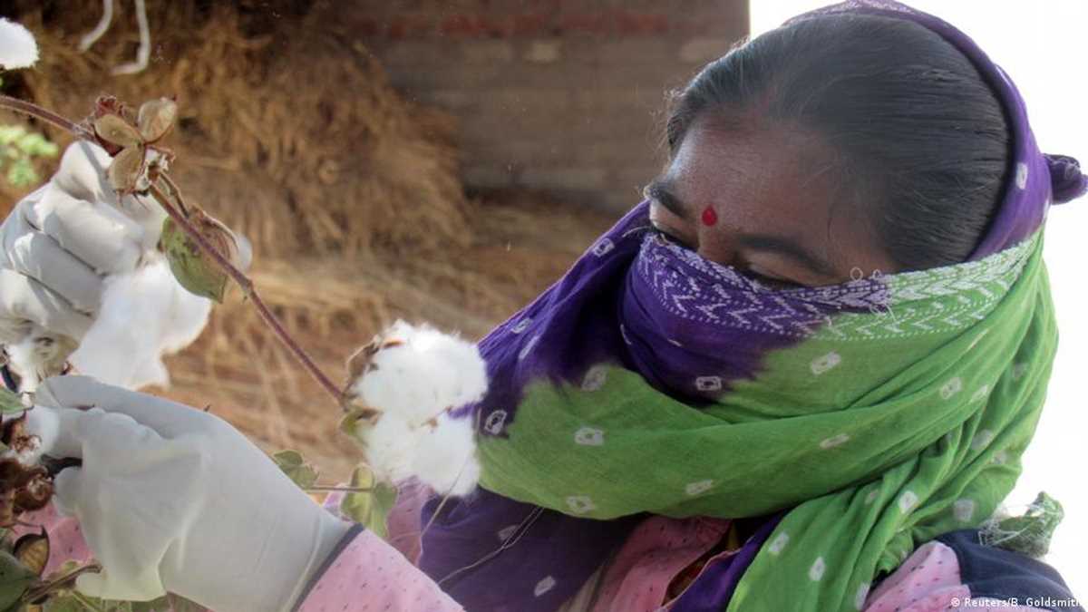 मनरेगा मजदूरों की दिहाड़ी बढ़ी लेकिन असमानता नहीं मिटी